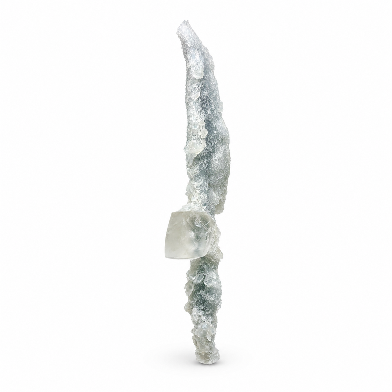 Calcite on Coral Specimen #6