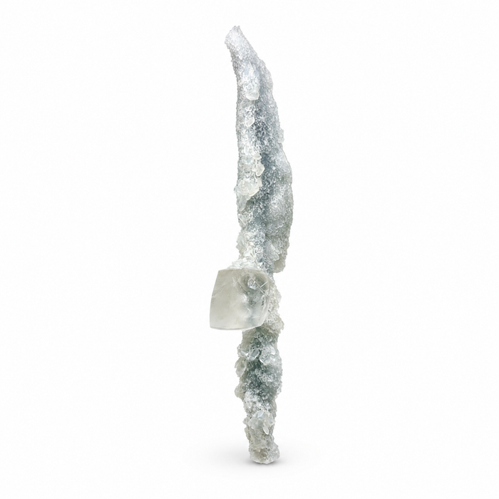 Calcite on Coral Specimen #6