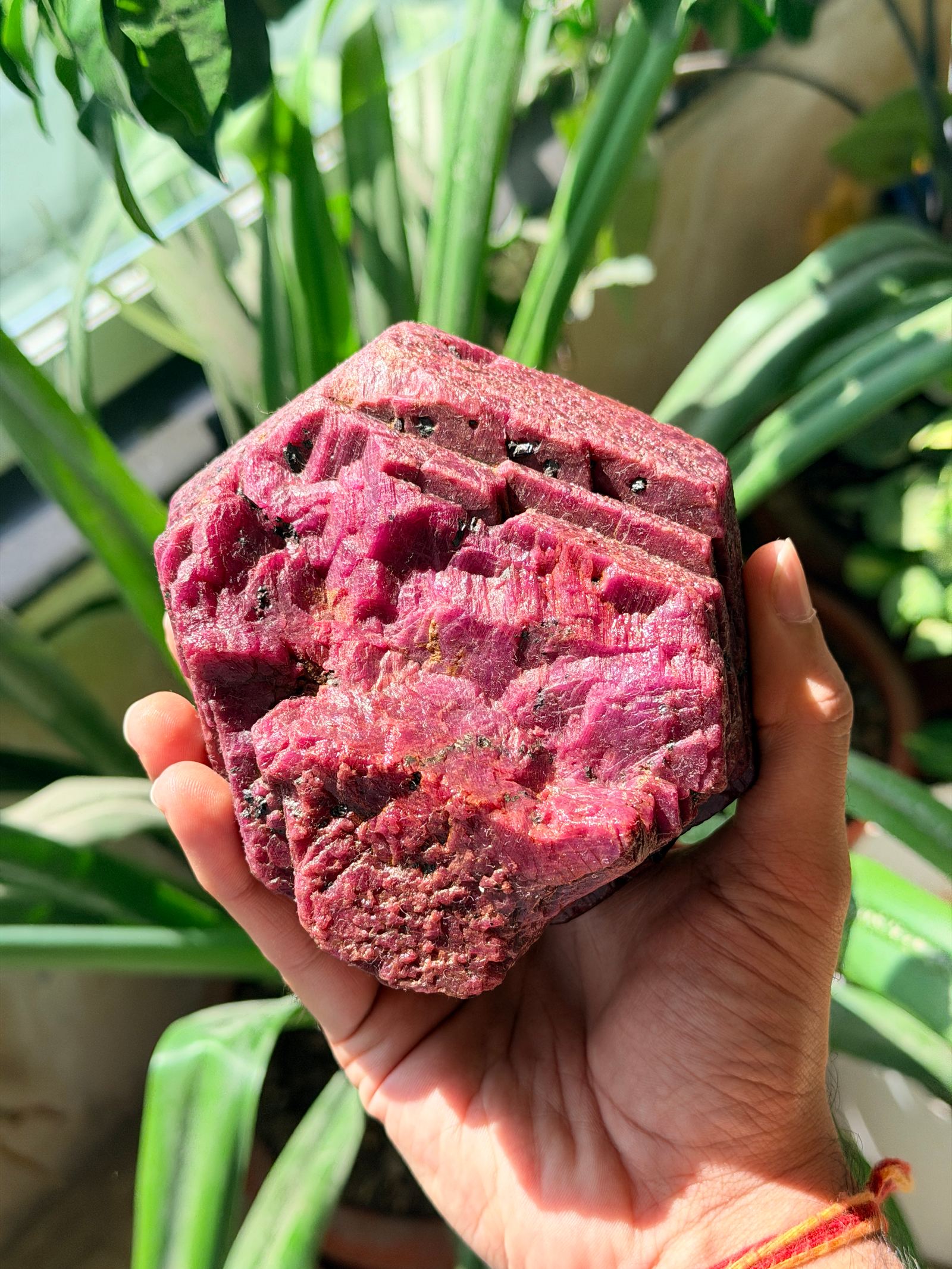 Indian Ruby Rough