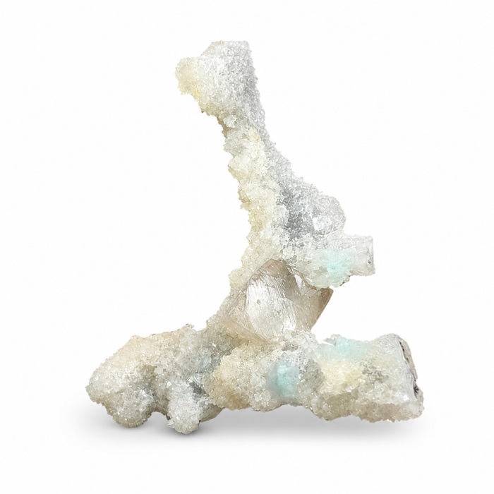 Calcite on Coral Specimen #5