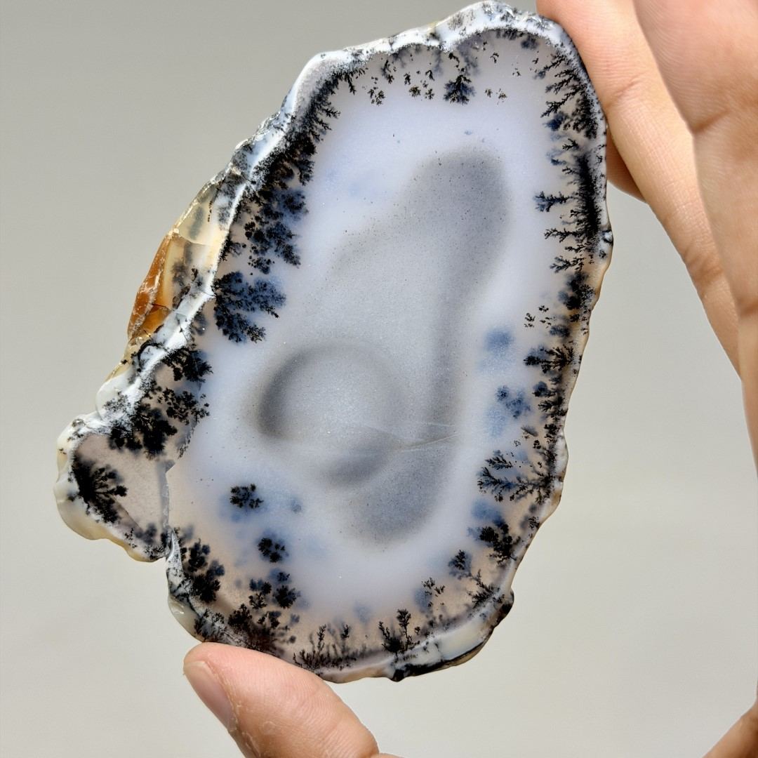 Dendritic Agate Slice #5