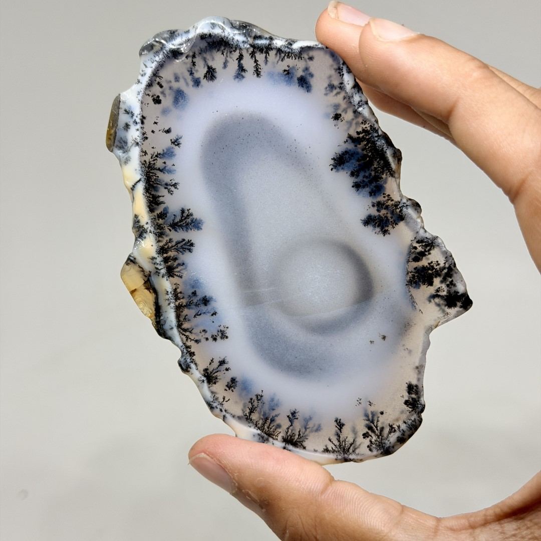 Dendritic Agate Slice #4