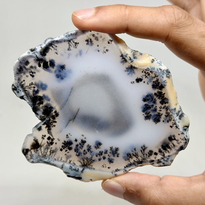 Dendritic Agate Slice