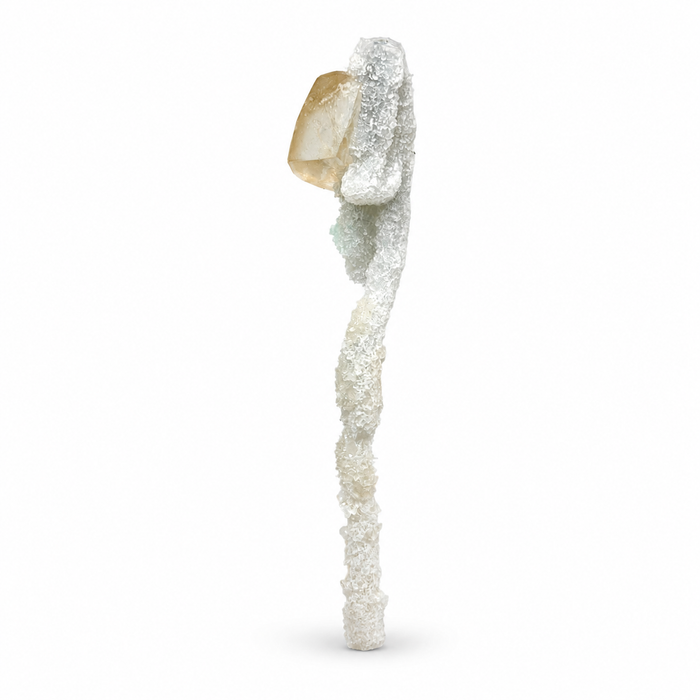 Calcite on Coral Specimen #2