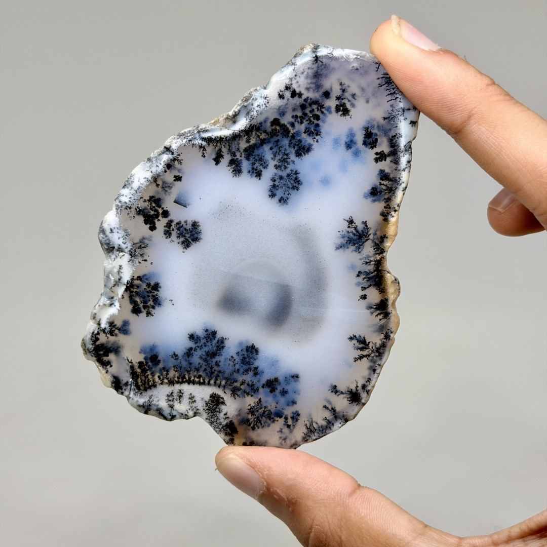 Dendritic Agate Slice #2