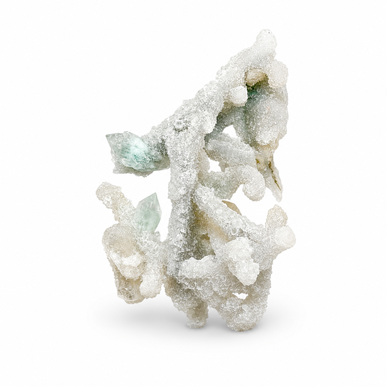 Calcite on Coral Specimen No. 7