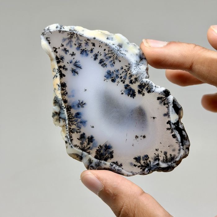 Dendritic Agate Slice