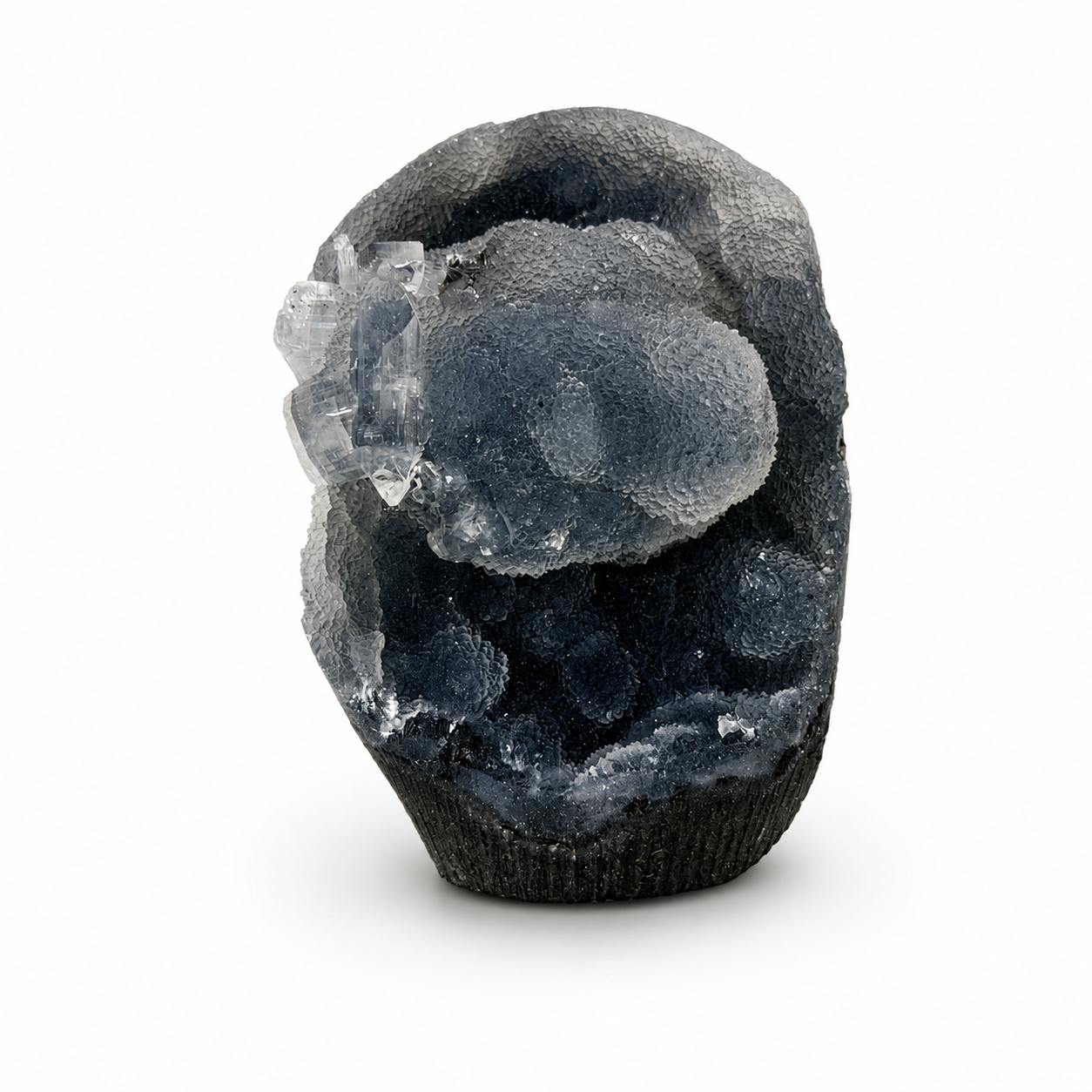 Apophyllite on Black Botryoidal Chalcedony Cluster #13