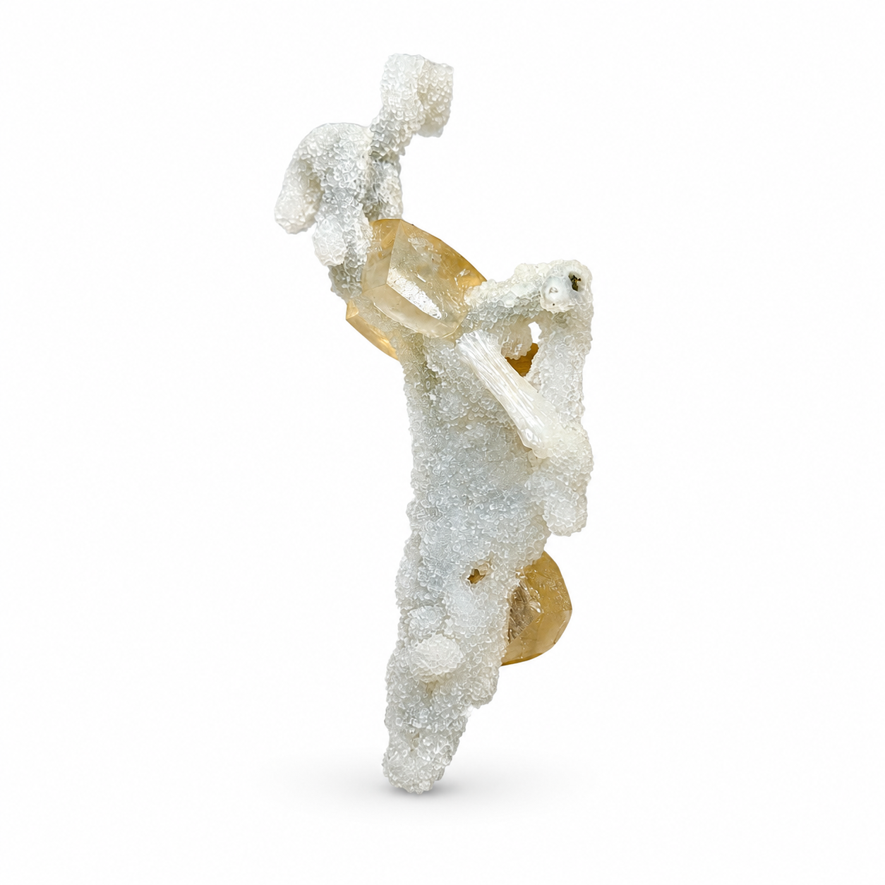 Calcite on Coral Specimen #4