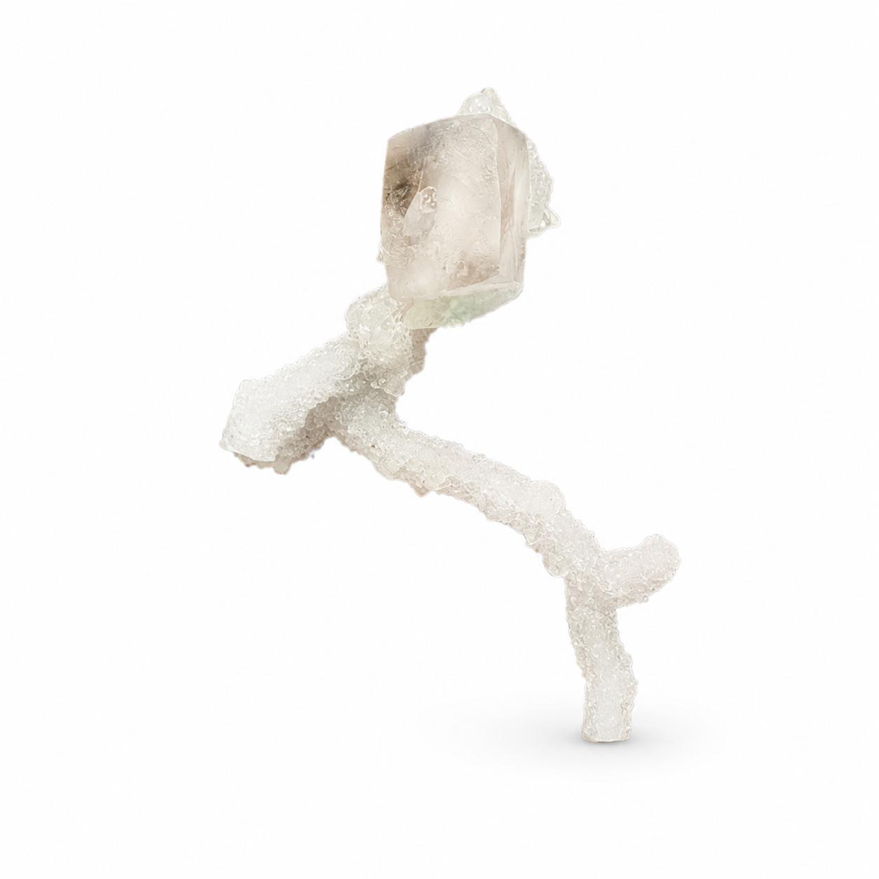 Calcite on Coral Specimen No. 1