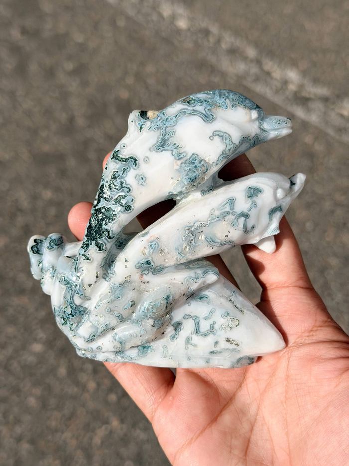 Tree Agate Dolphin Carving